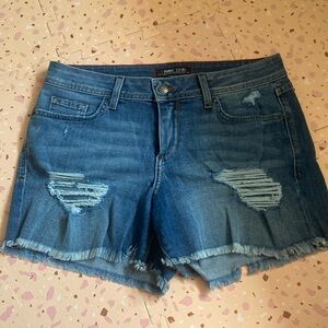 Fran Denim Janyce Shorts